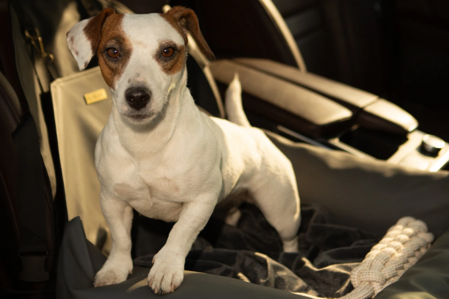 Mercedes-Benz GLE Dog Car Seat for Duck Tolling Retrievers